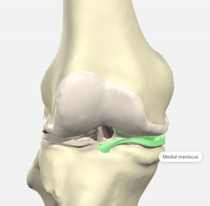 Knee holes best sale